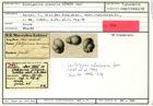 Karteikarte zum Syntyp von Globigerina arenaria Karrer, 1867